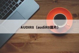 AUDIR8（audiR8图片）