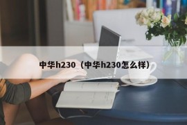 中华h230（中华h230怎么样）