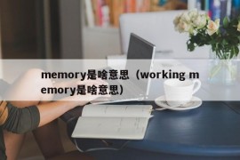 memory是啥意思（working memory是啥意思）