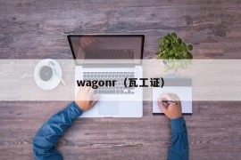 wagonr（瓦工证）